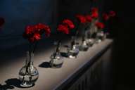 Алхимия готики