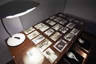 Госпиталь птиц