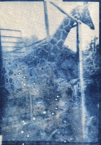 Книга Слепое поле