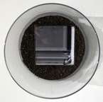 Дакини. Семена Алая-Виджняна