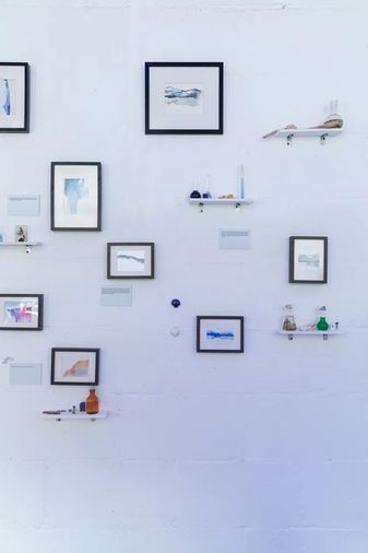 Сад Эдиакарий