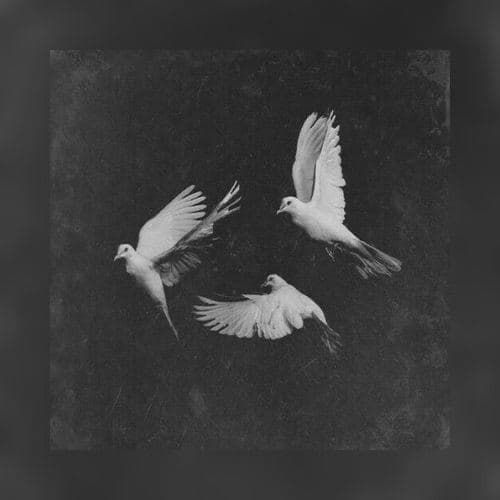 Квартет на конец времени