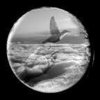 Квартет на конец времени