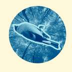 Квартет на конец времени