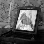 Квартет на конец времени