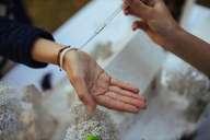 Соляной пристав и его дочь