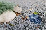 Скульптурный садик