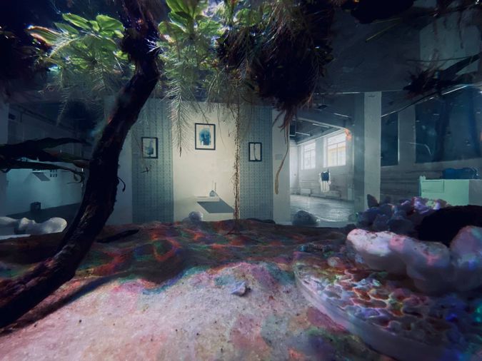 Приближение Снежной Королевы. Часть II